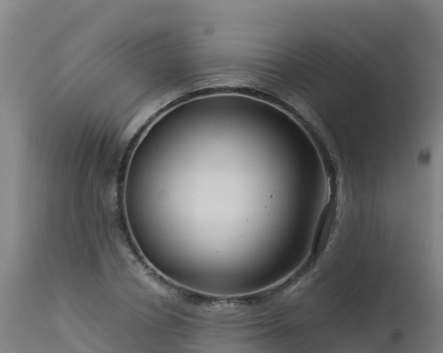 X0000112900834200908281723