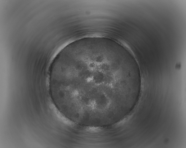 X0000112900835200908281723