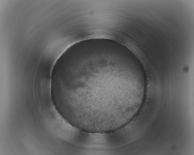 X0000112900836200908281723