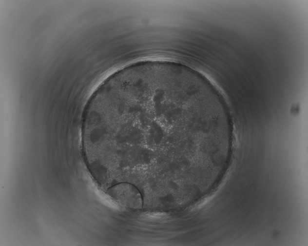 X0000112900837200908281723