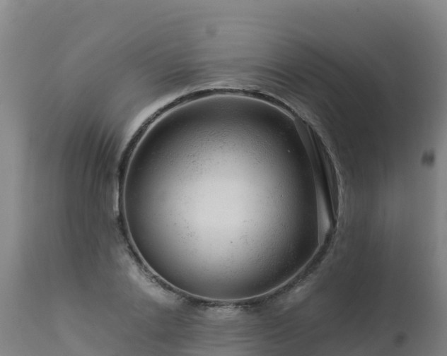 X0000112900838200908281723