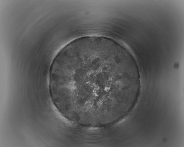 X0000112900839200908281723