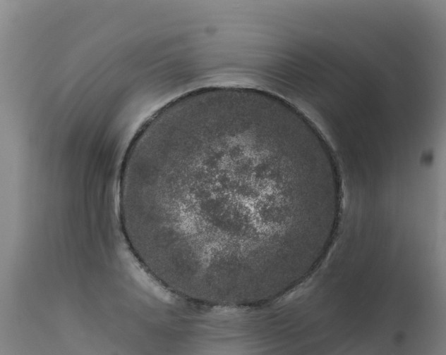 X0000112900840200908281723