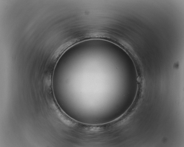 X0000112900841200908281723