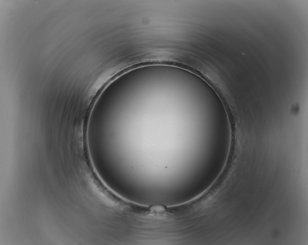 X0000112900842200908281723