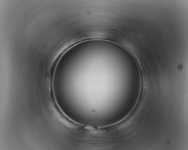 X0000112900843200908281723