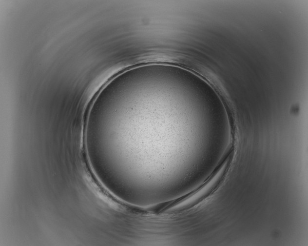 X0000112900844200908281723