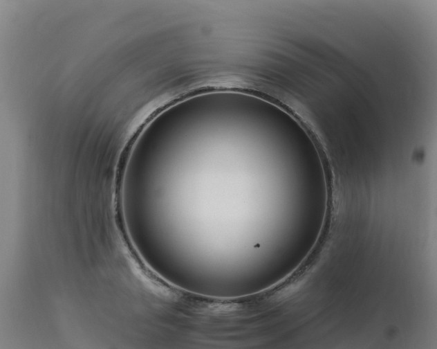 X0000112900845200908281723