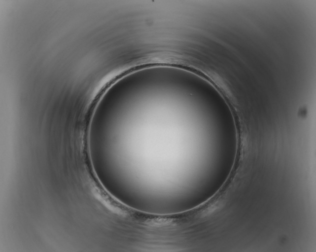 X0000112900846200908281723