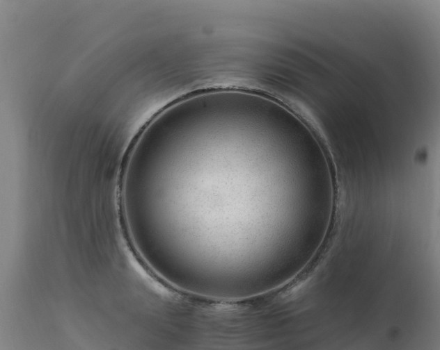 X0000112900847200908281723