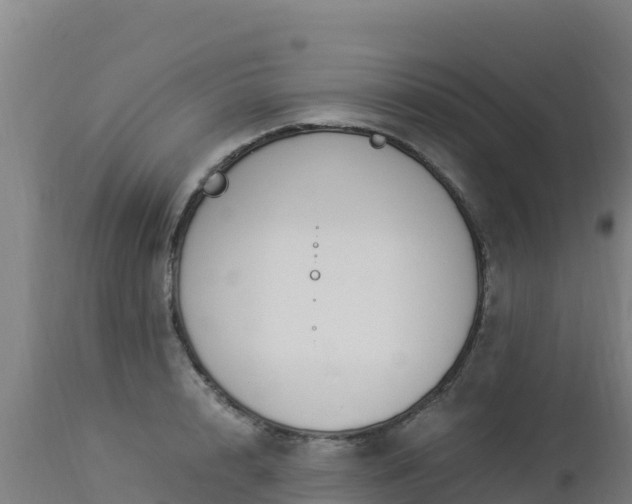 X0000112900848200908281723