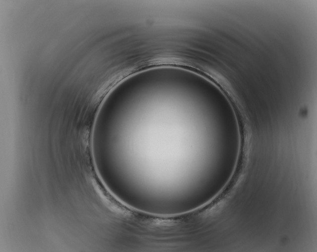 X0000112900849200908281723