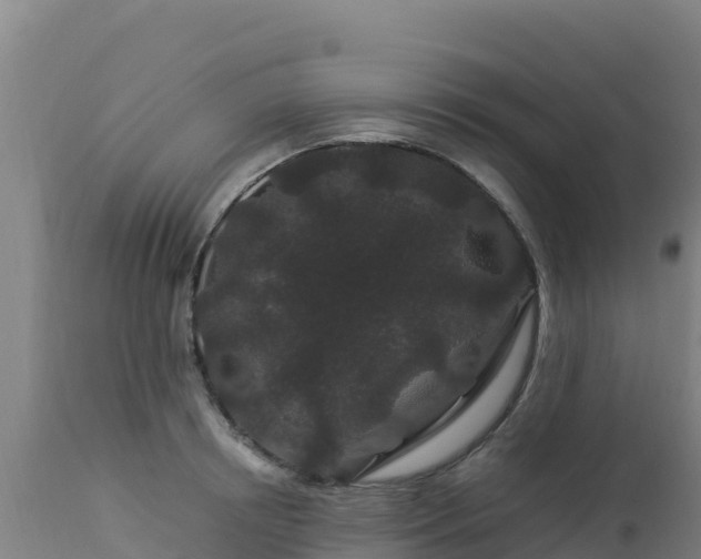 X0000112900850200908281723