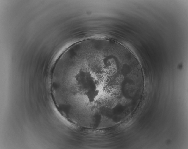 X0000112900851200908281723