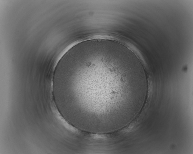 X0000112900852200908281723