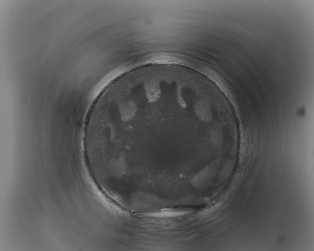 X0000112900853200908281723