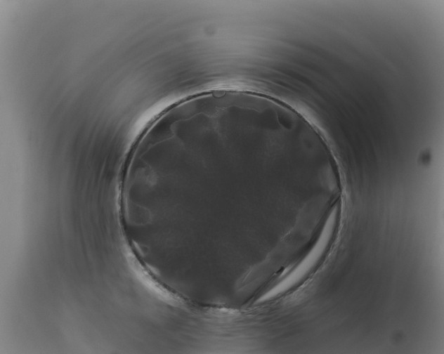 X0000112900854200908281723