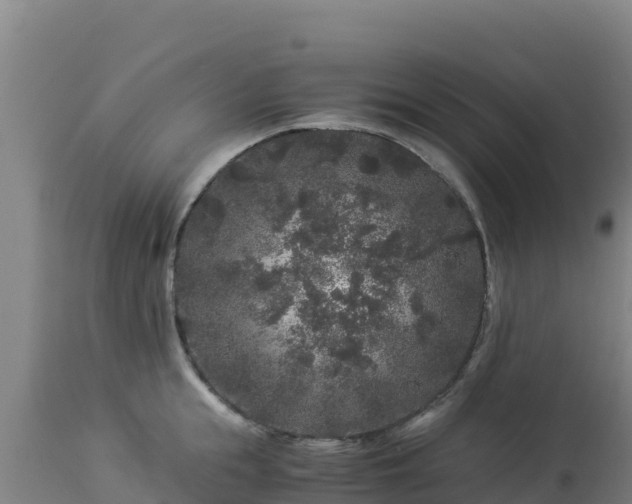 X0000112900855200908281723