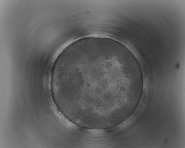 X0000112900856200908281723