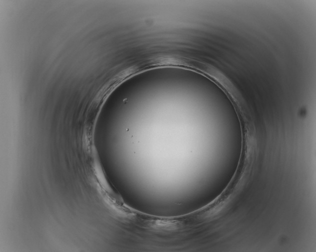 X0000112900857200908281723