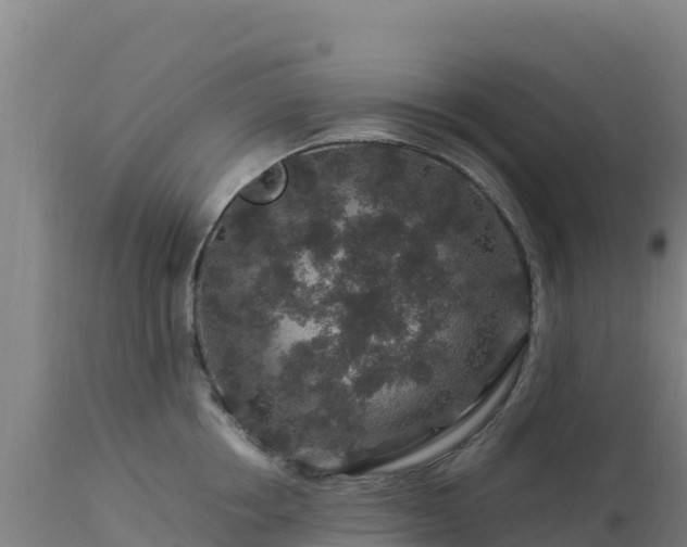 X0000112900858200908281723