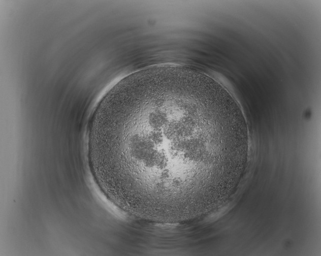 X0000112900859200908281723