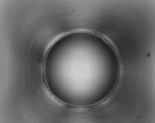 X0000112900860200908281723