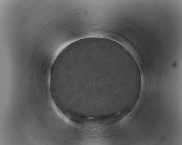 X0000112900862200908281723