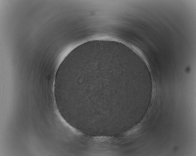 X0000112900863200908281723