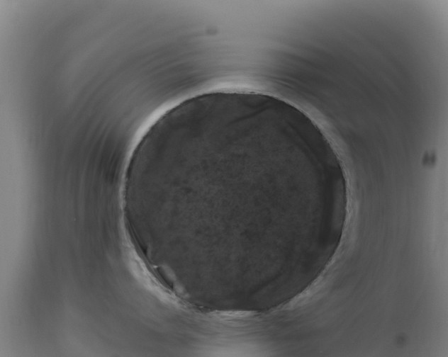 X0000112900864200908281723