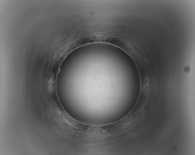 X0000112900866200908281723