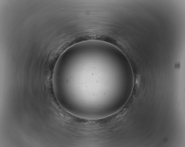 X0000112900867200908281723