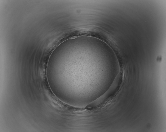 X0000112900868200908281723