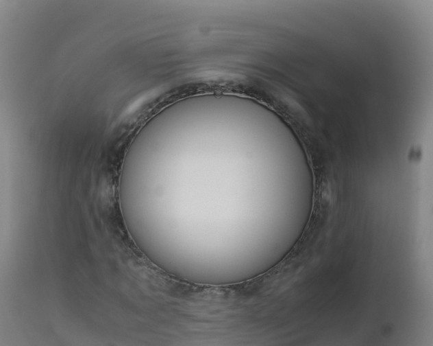 X0000112900869200908281723