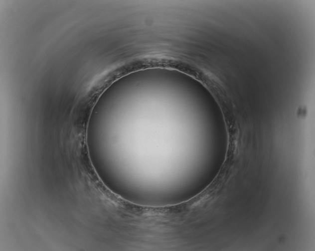 X0000112900870200908281723