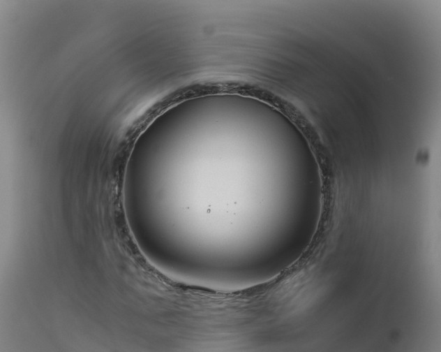 X0000112900871200908281723