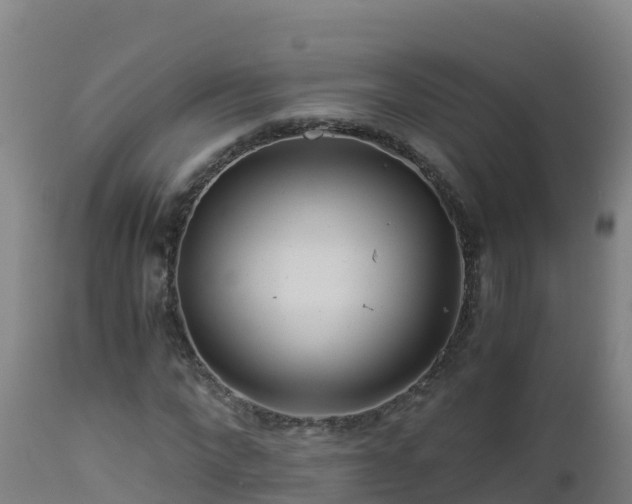 X0000112900872200908281723