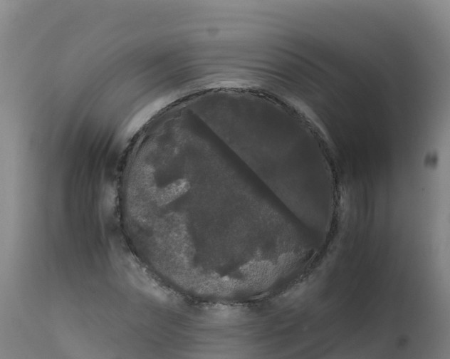 X0000112900874200908281722