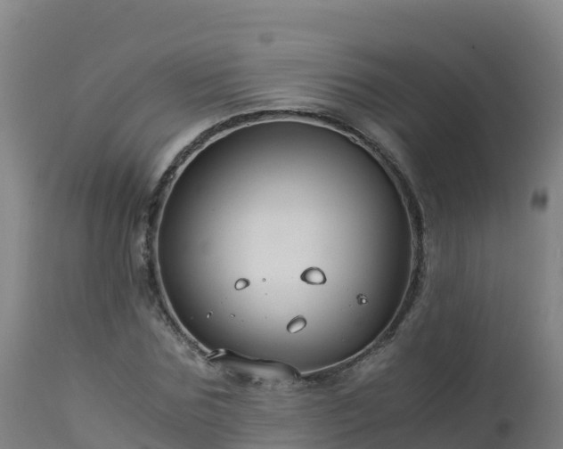 X0000112900875200908281722