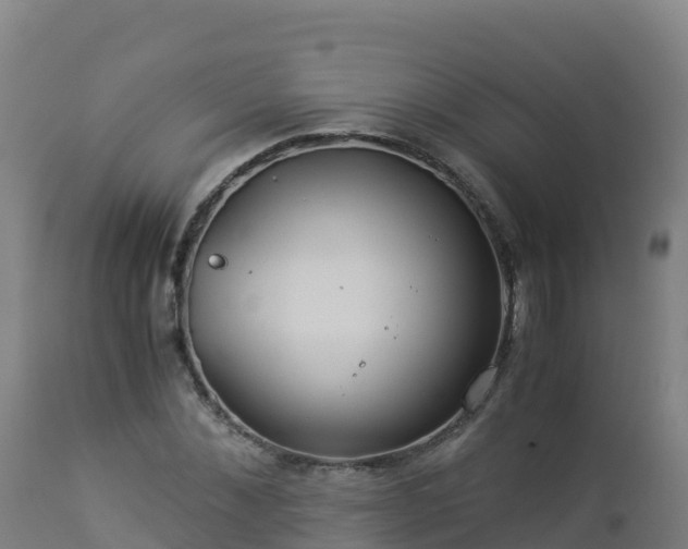 X0000112900876200908281722