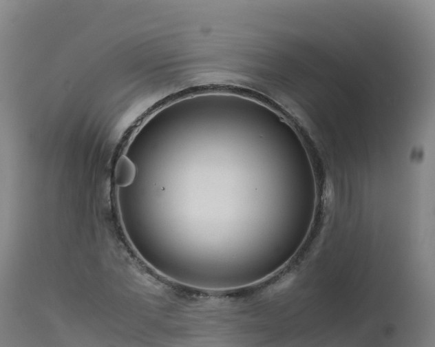 X0000112900877200908281722