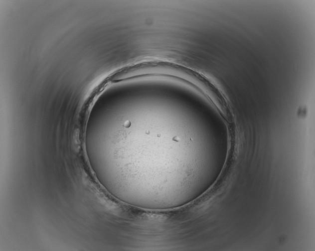 X0000112900878200908281722