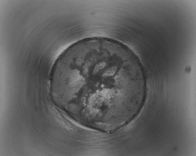 X0000112900879200908281722