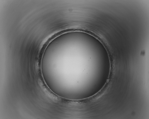 X0000112900880200908281722