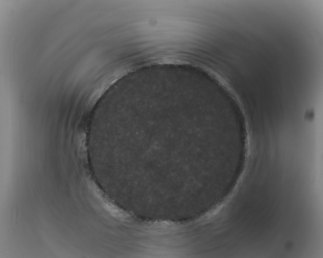 X0000112900881200908281722