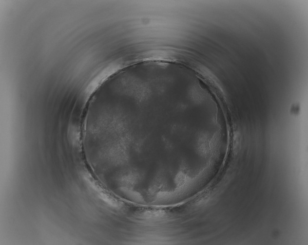 X0000112900882200908281722