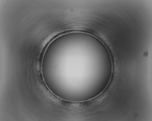 X0000112900883200908281722