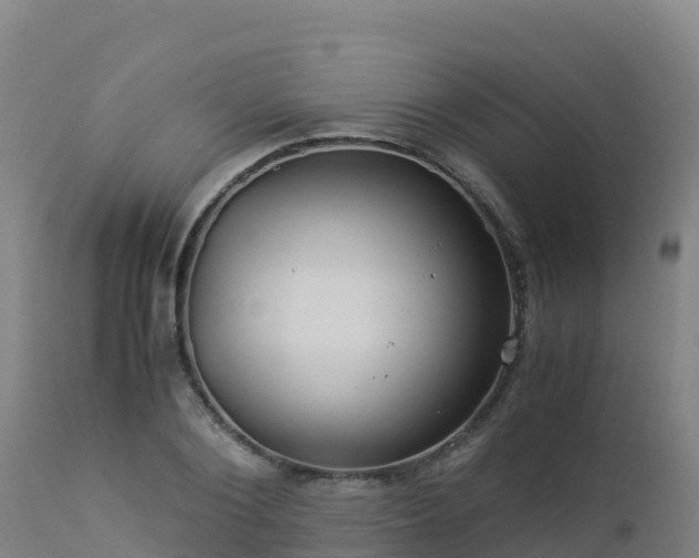 X0000112900884200908281722