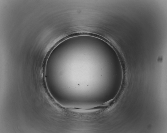 X0000112900885200908281722