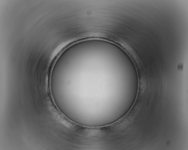 X0000112900886200908281722